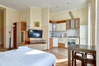 Апартаменты Studio with amazing view to Independence Square Киев Апартаменты-студио-4